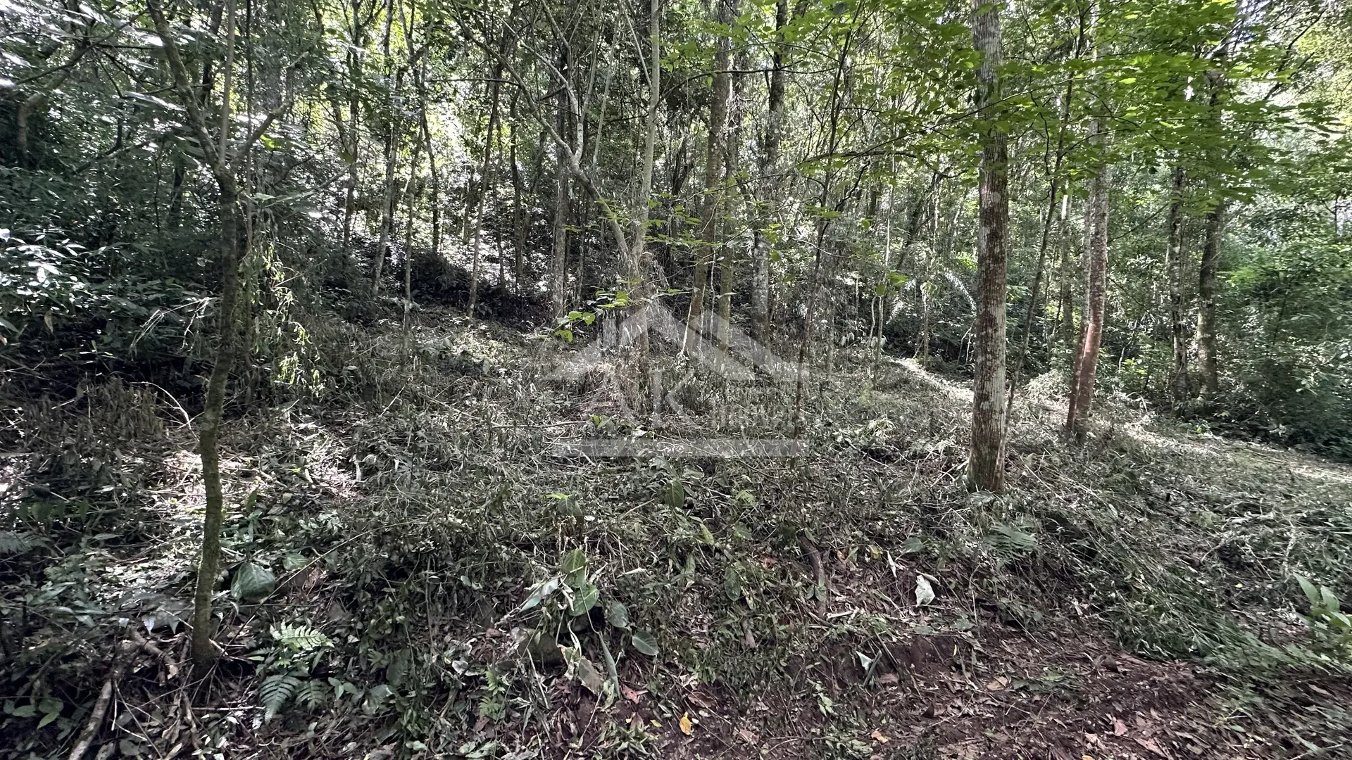 Área de terra com riacho à venda em Picada Café na Serra Gaúcha