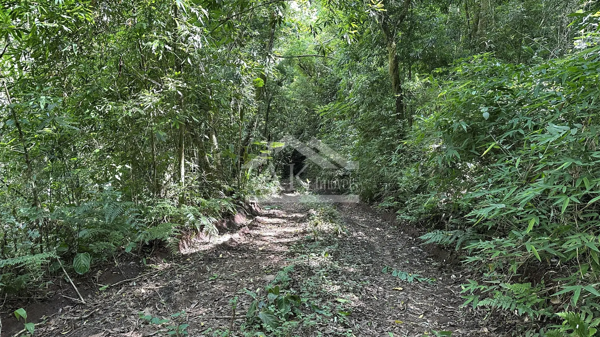 Área de terra com riacho à venda em Picada Café na Serra Gaúcha