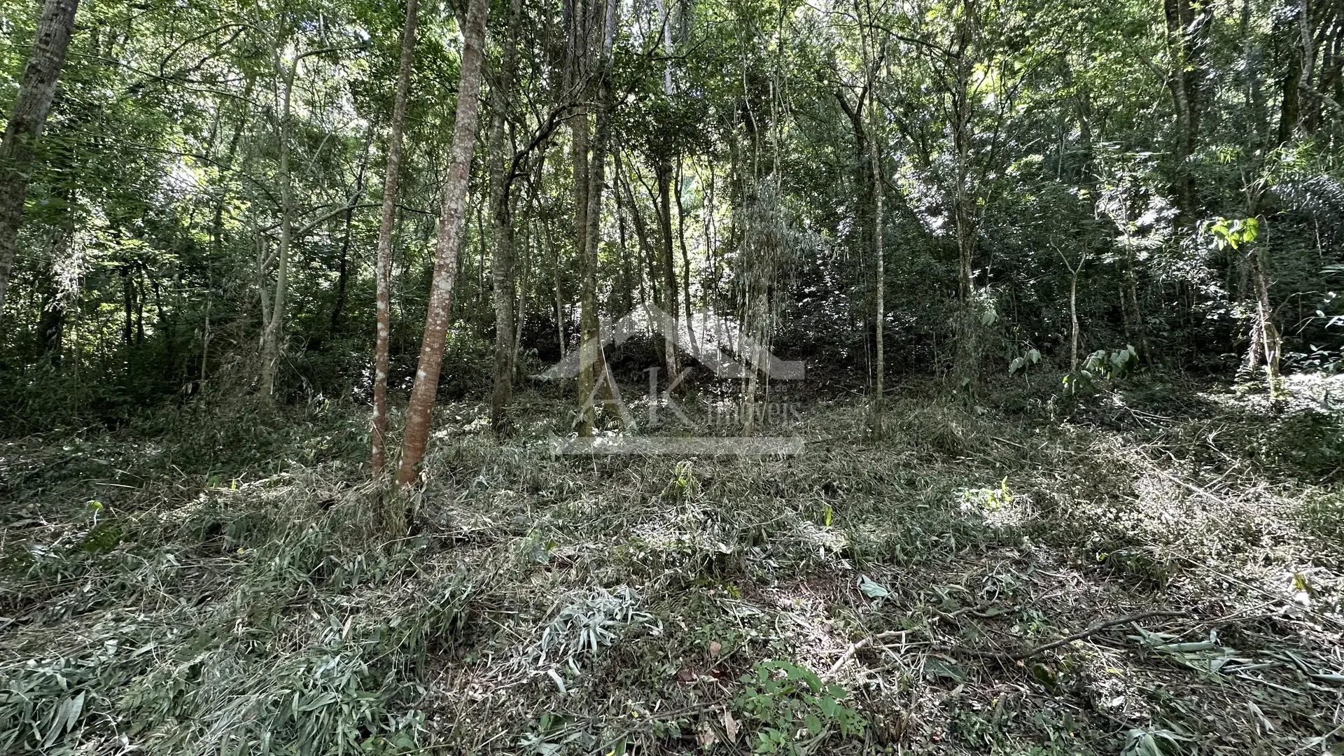 Área de terra com riacho à venda em Picada Café na Serra Gaúcha