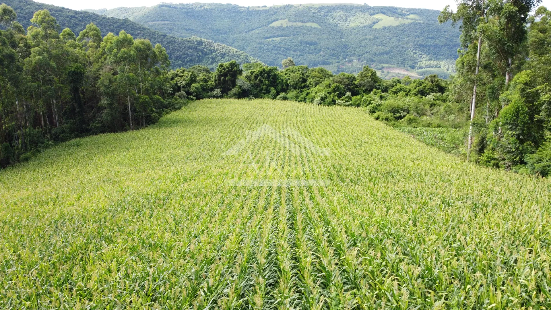 Área de terra com vista e vertente à venda em Nova Petrópolis na Serra Gaúcha