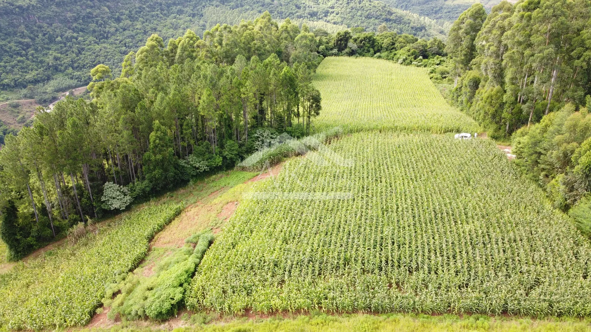 Área de terra com vista e vertente à venda em Nova Petrópolis na Serra Gaúcha