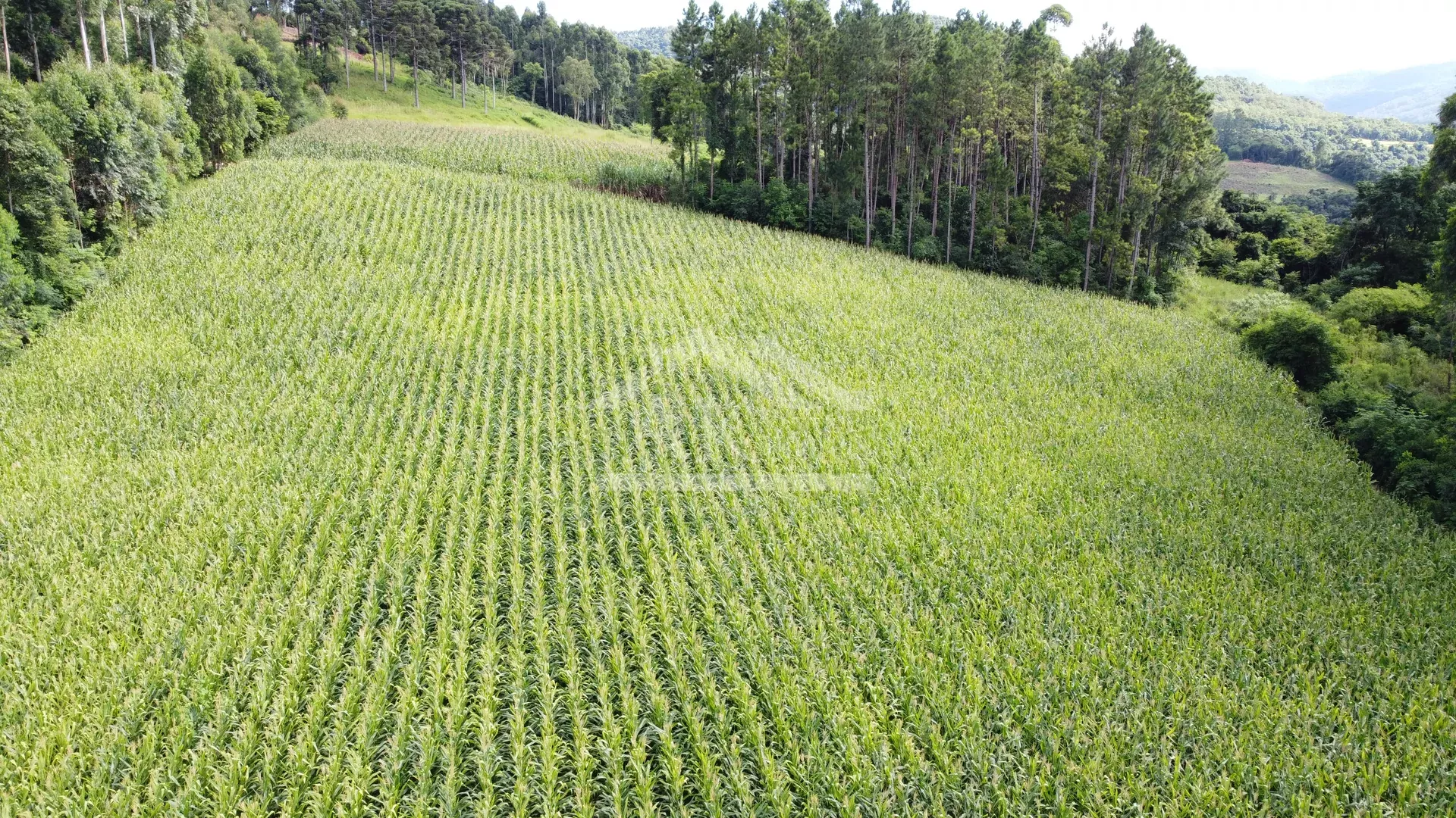 Área de terra com vista e vertente à venda em Nova Petrópolis na Serra Gaúcha
