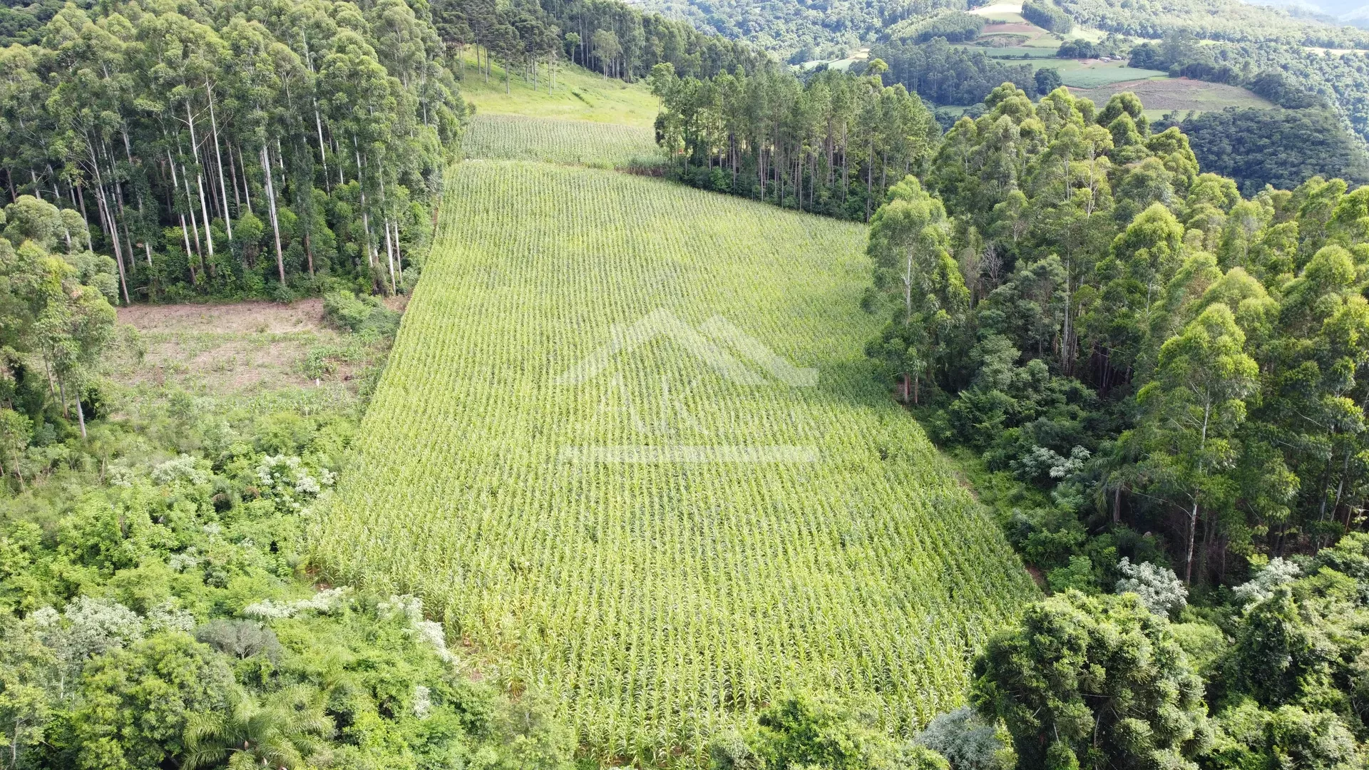 Área de terra com vista e vertente à venda em Nova Petrópolis na Serra Gaúcha