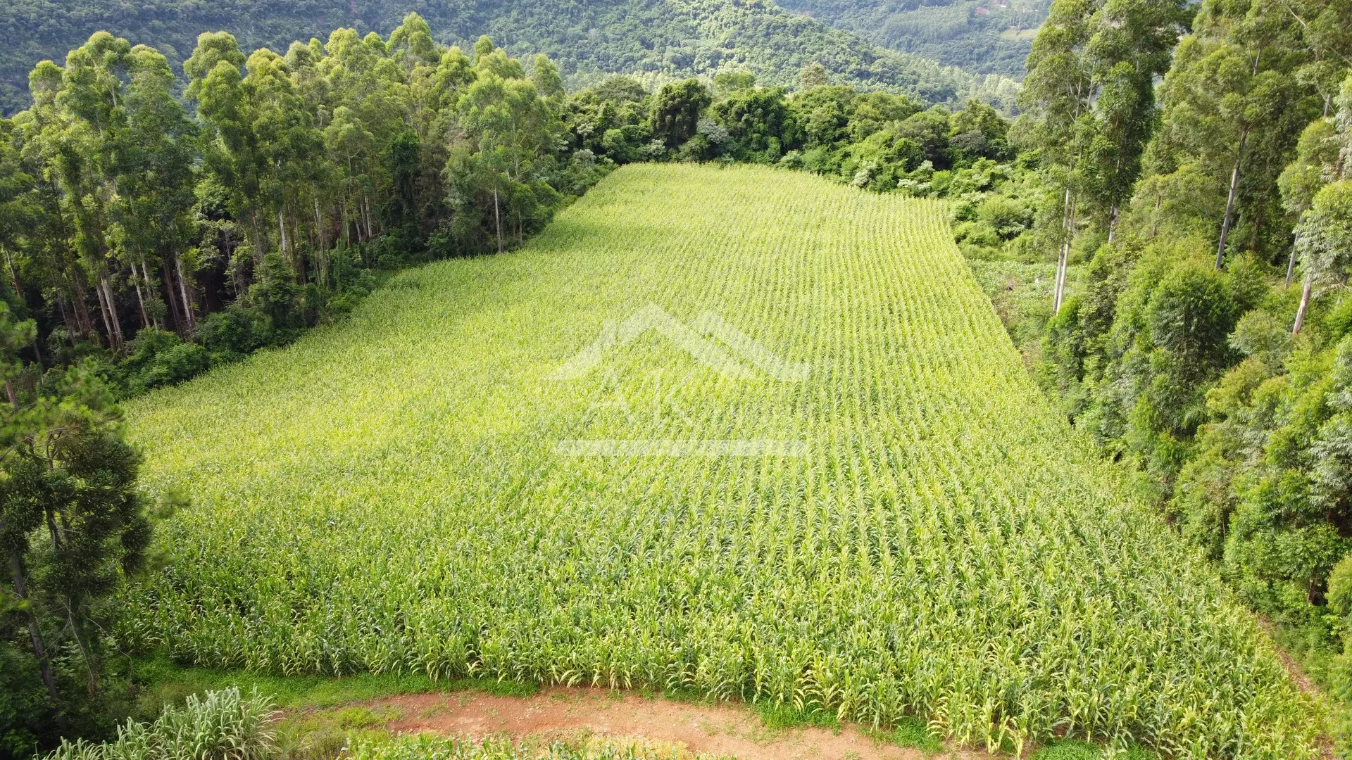 Área de terra com vista e vertente à venda em Nova Petrópolis na Serra Gaúcha