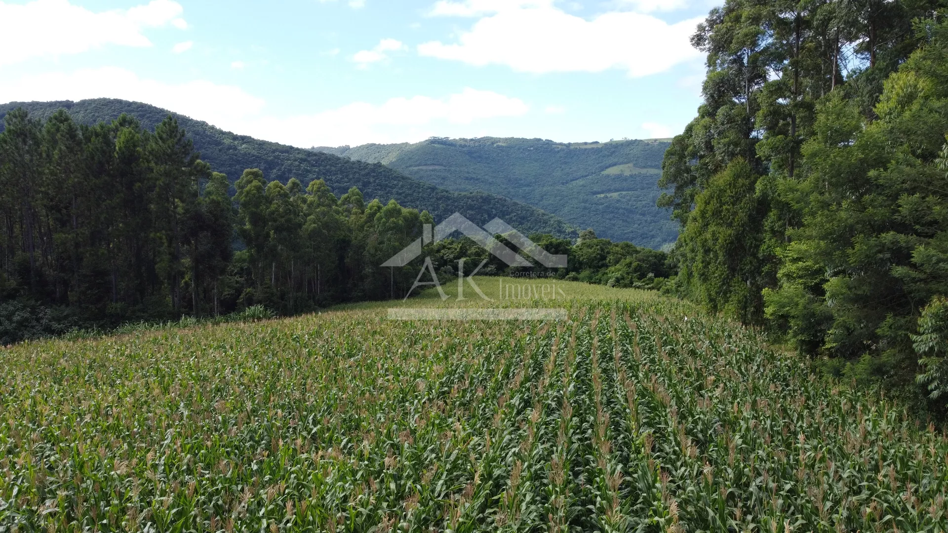 Área de terra com vista e vertente à venda em Nova Petrópolis na Serra Gaúcha