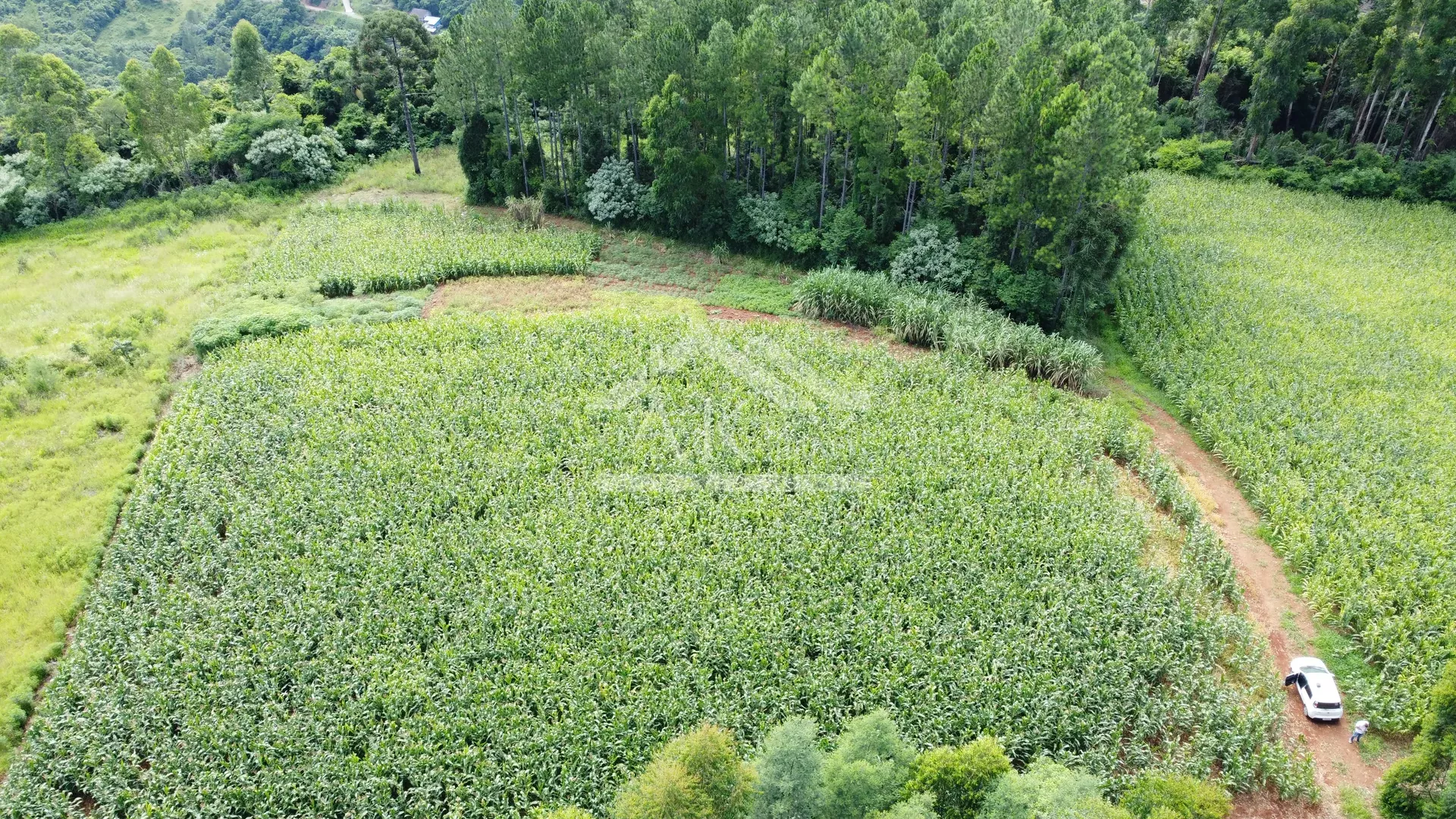 Área de terra com vista e vertente à venda em Nova Petrópolis na Serra Gaúcha