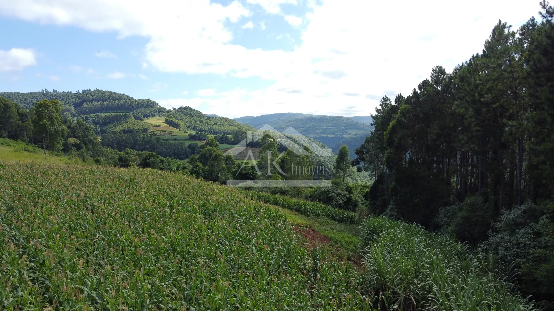 Área de terra com vista e vertente à venda em Nova Petrópolis na Serra Gaúcha
