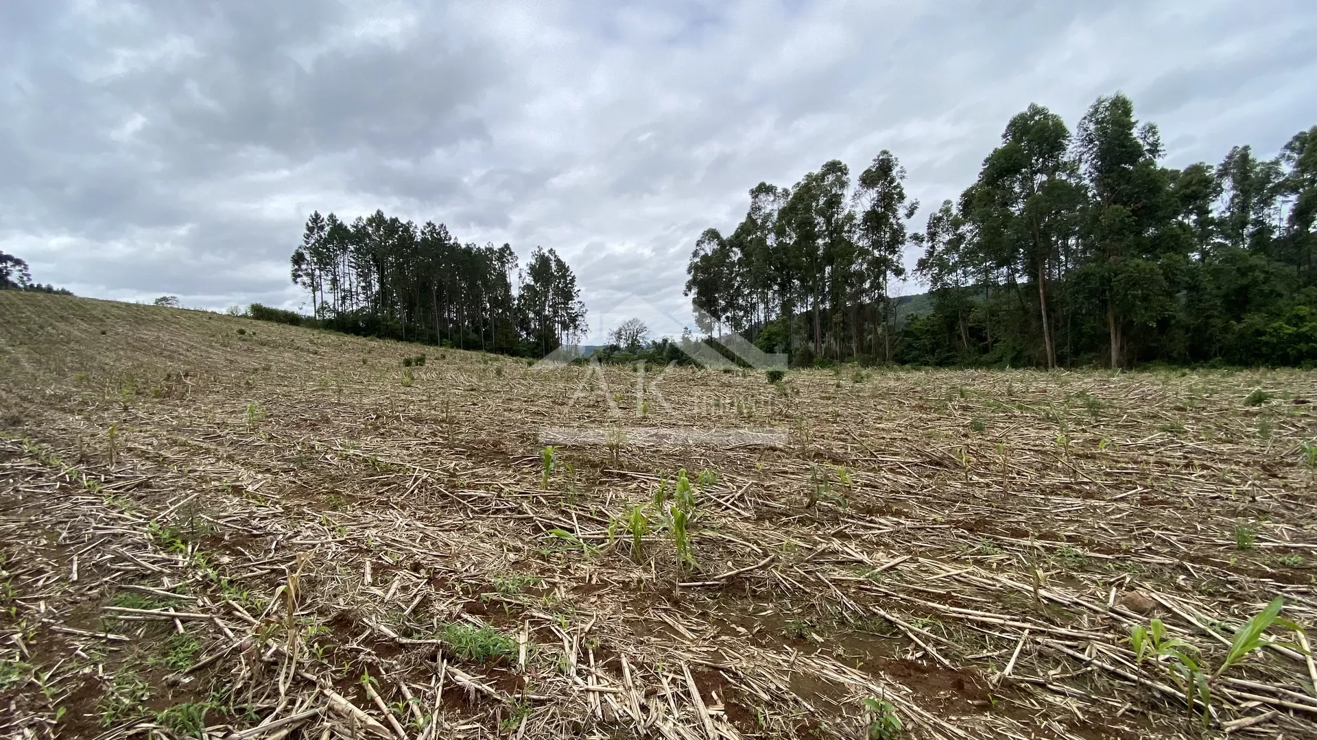 Área de terra com vista e vertente à venda em Nova Petrópolis na Serra Gaúcha