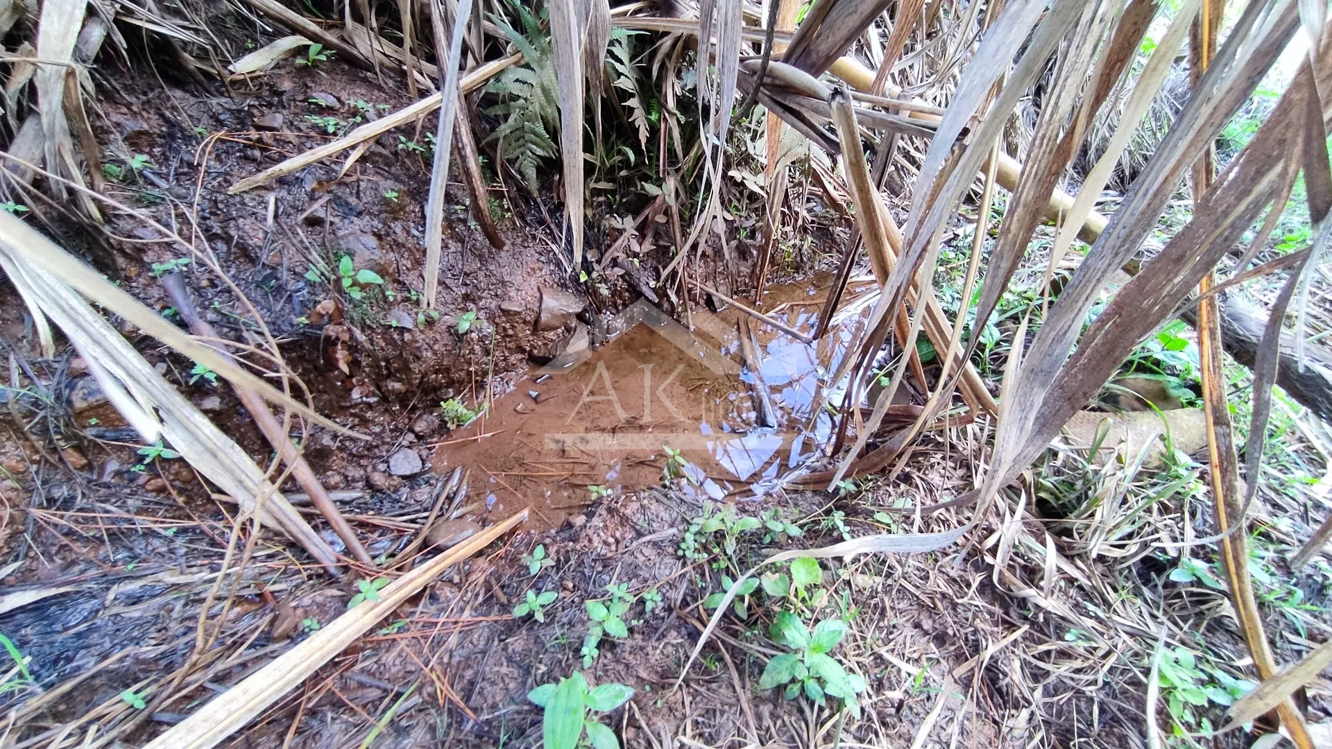 Área de terra com vista e vertente à venda em Nova Petrópolis na Serra Gaúcha