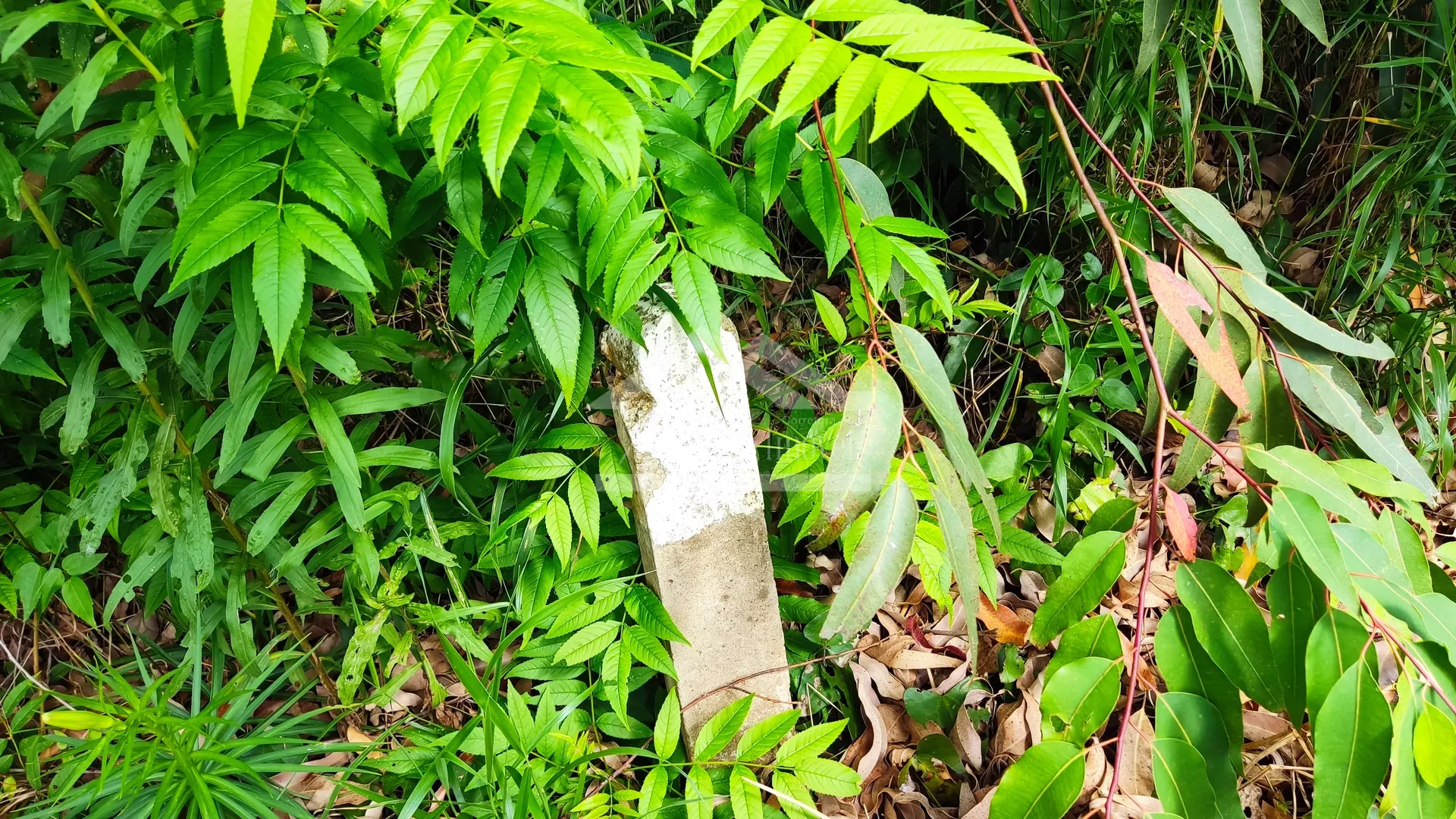 Área de terra com vista e vertente à venda em Nova Petrópolis na Serra Gaúcha