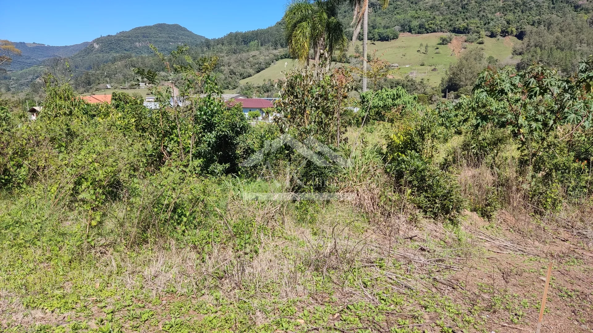 Amplo terreno à venda em Picada Café, na Serra Gaúcha
