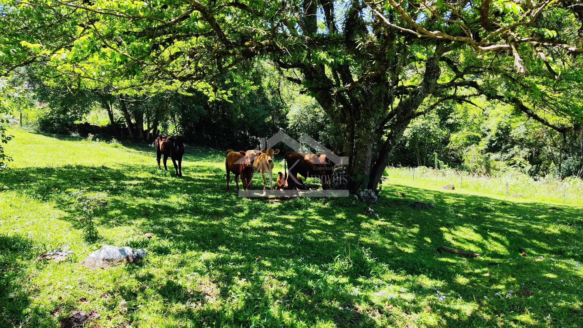 Sítio com estrutura completa à venda em Picada Café na Serra Gaúcha