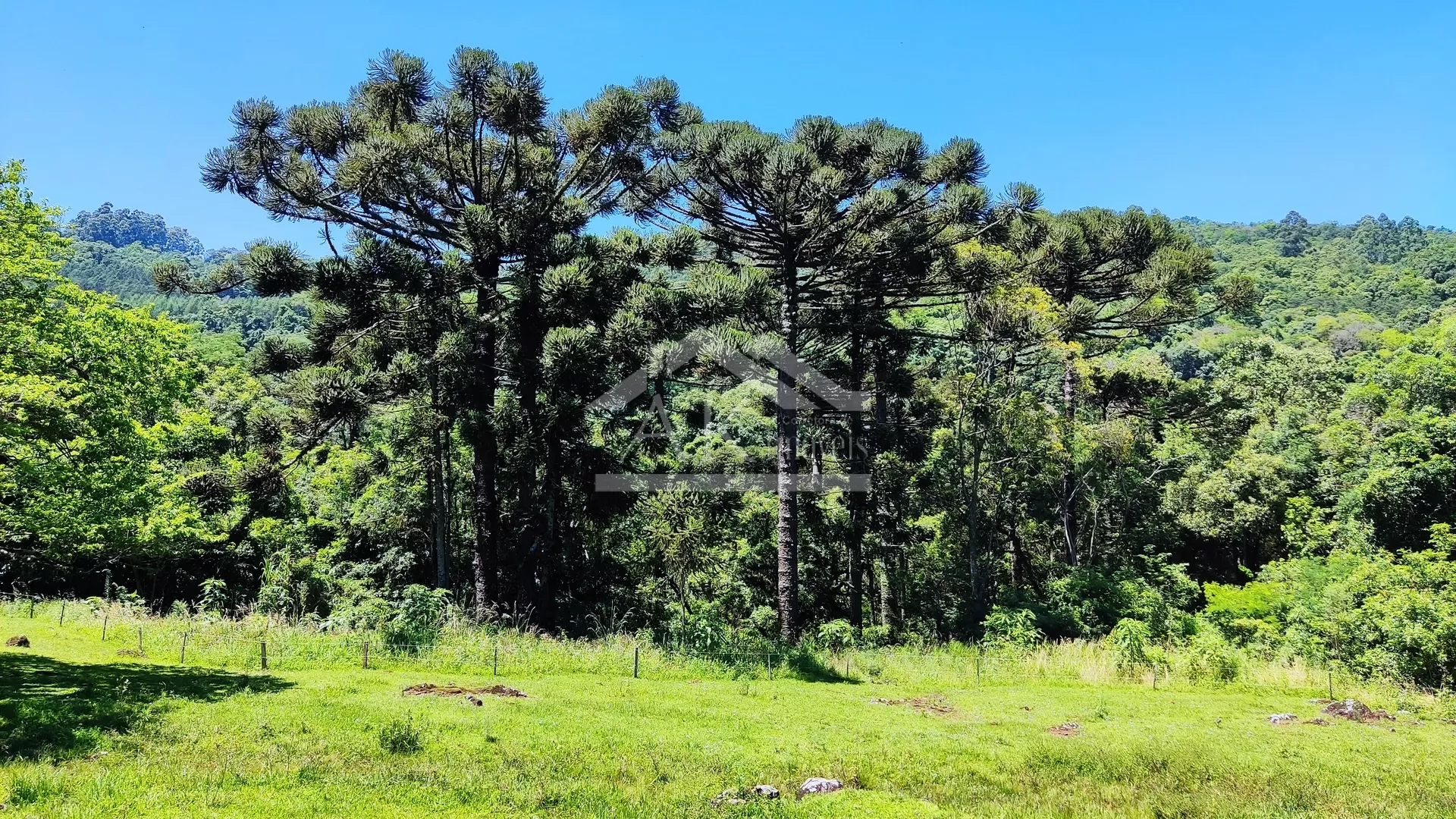 Sítio com estrutura completa à venda em Picada Café na Serra Gaúcha