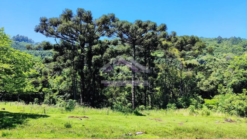 Sítio com estrutura completa à venda em Picada Café na Serra Gaúcha