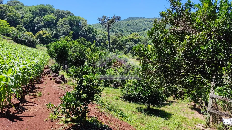 Sítio com estrutura completa à venda em Picada Café na Serra Gaúcha