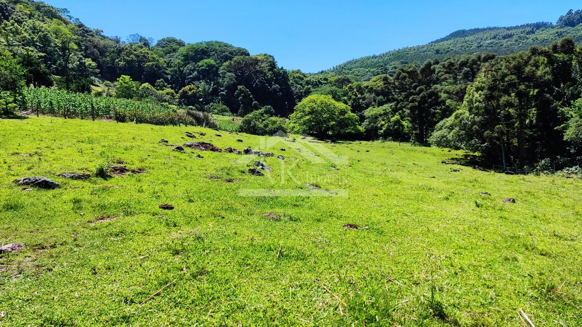 Sítio com estrutura completa à venda em Picada Café na Serra Gaúcha