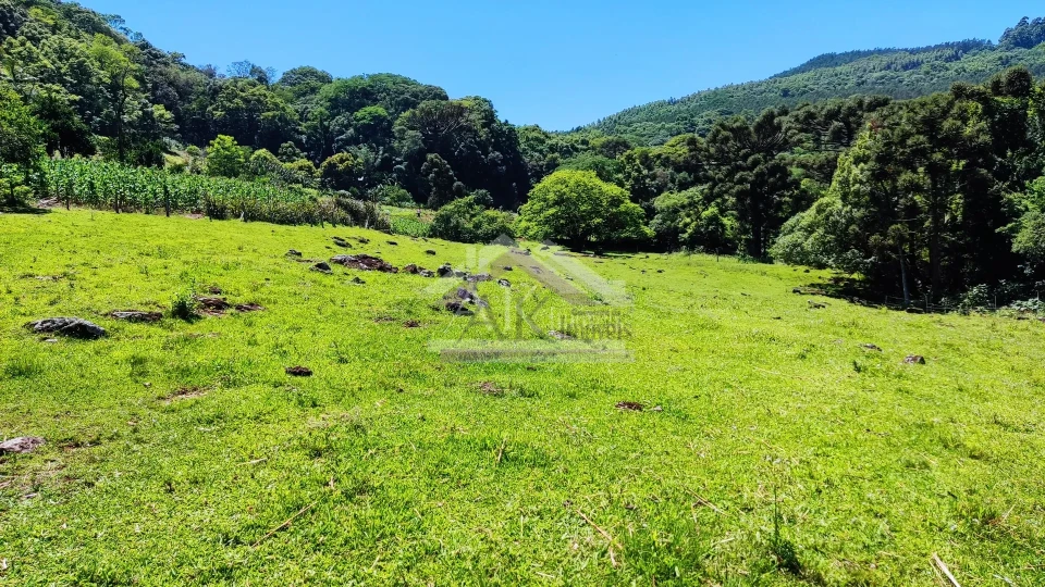 Sítio com estrutura completa à venda em Picada Café na Serra Gaúcha