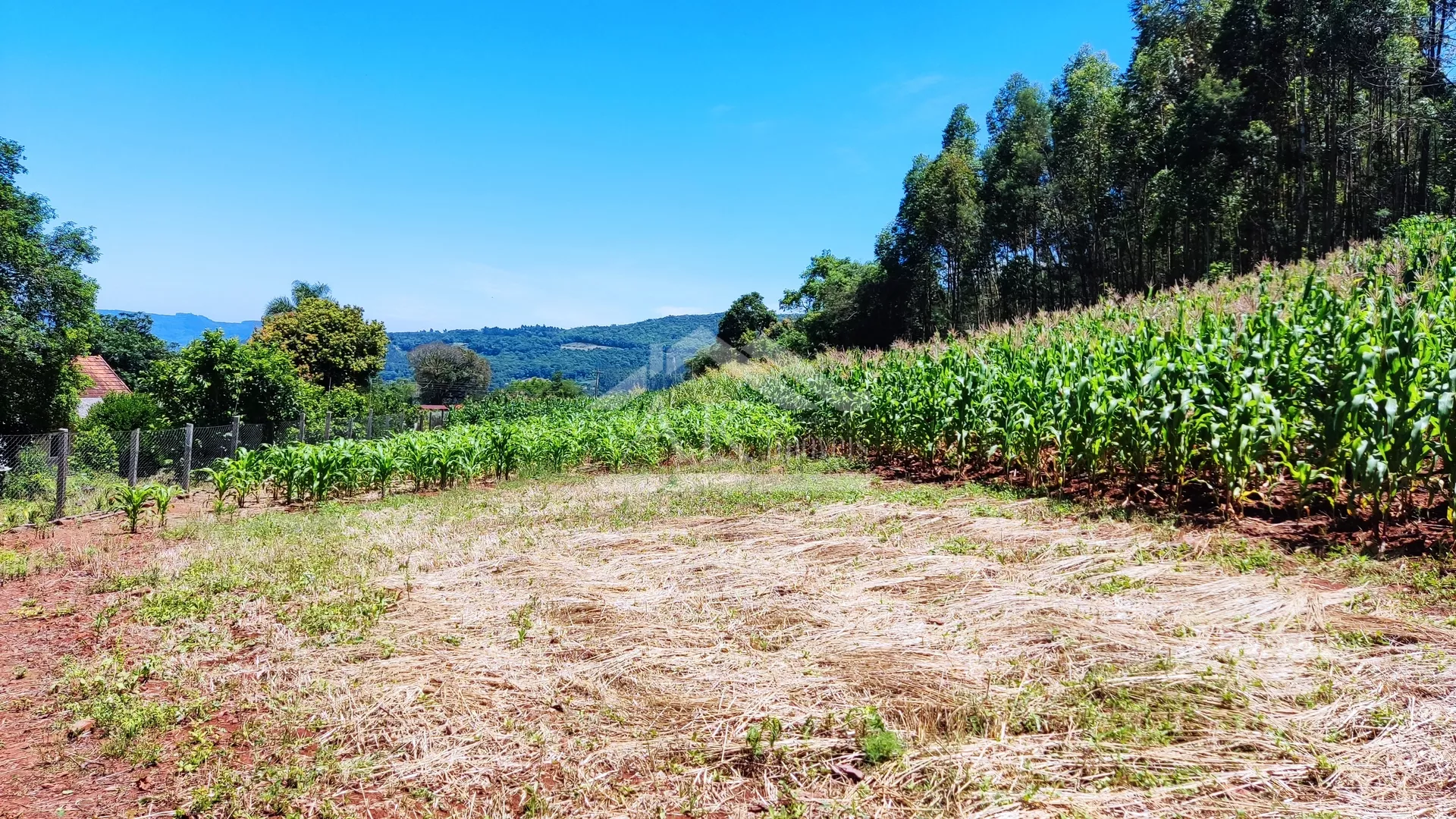 Sítio com estrutura completa à venda em Picada Café na Serra Gaúcha