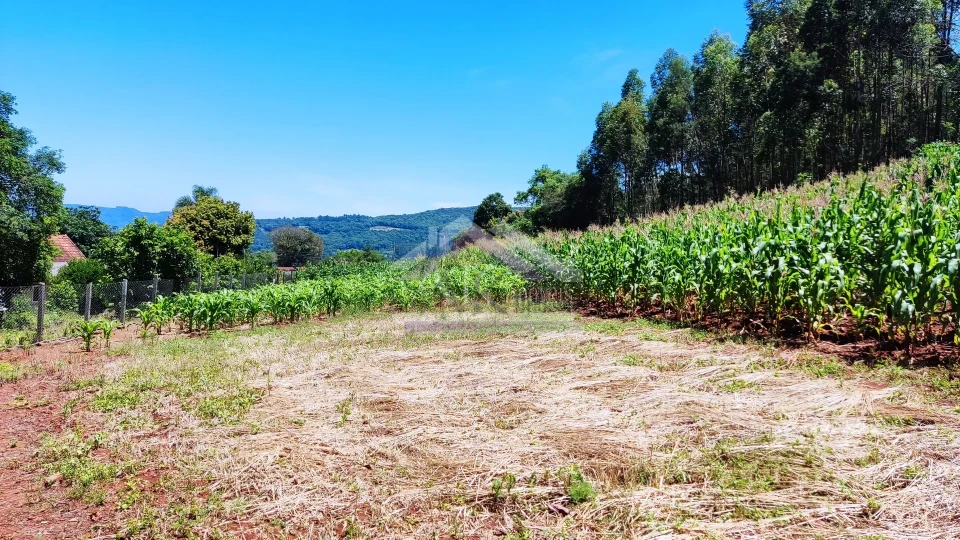 Sítio com estrutura completa à venda em Picada Café na Serra Gaúcha