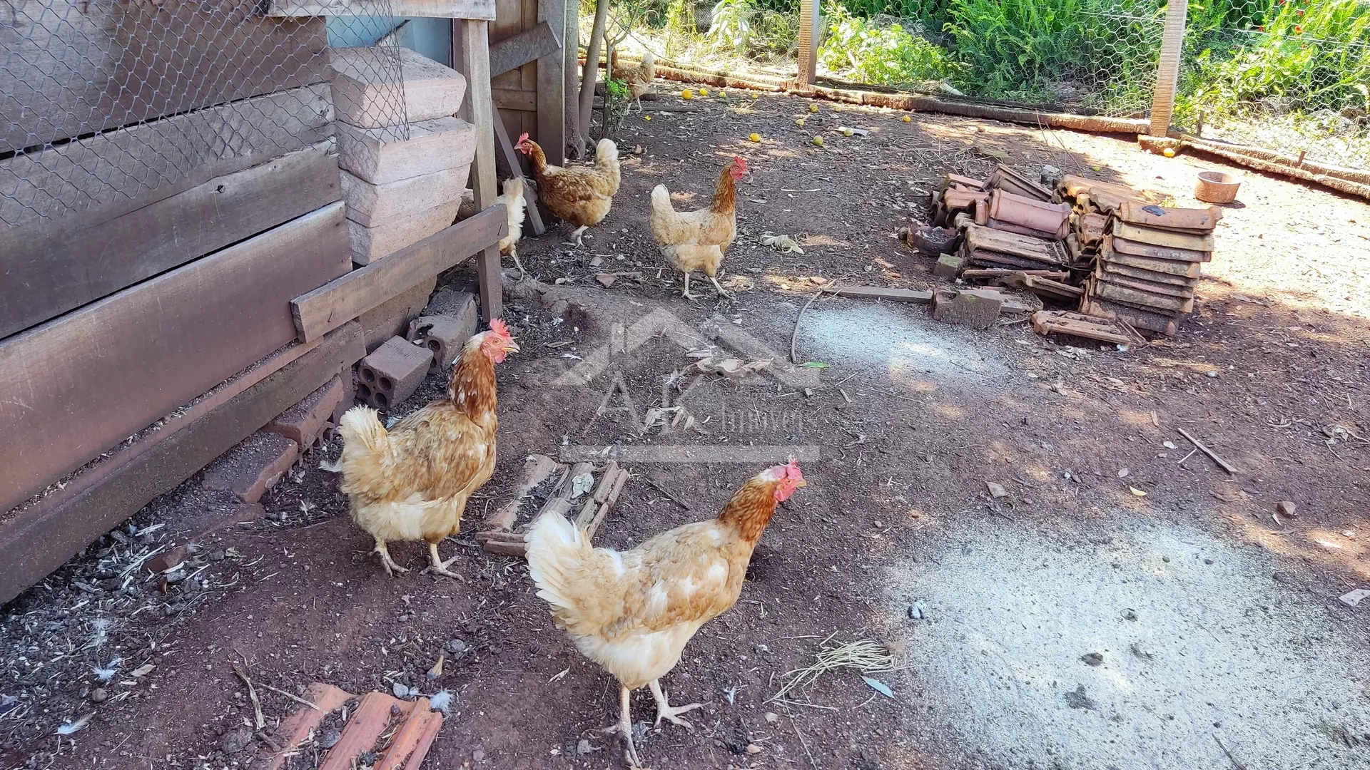 Sítio com estrutura completa à venda em Picada Café na Serra Gaúcha