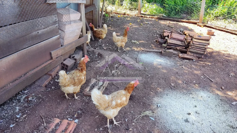 Sítio com estrutura completa à venda em Picada Café na Serra Gaúcha