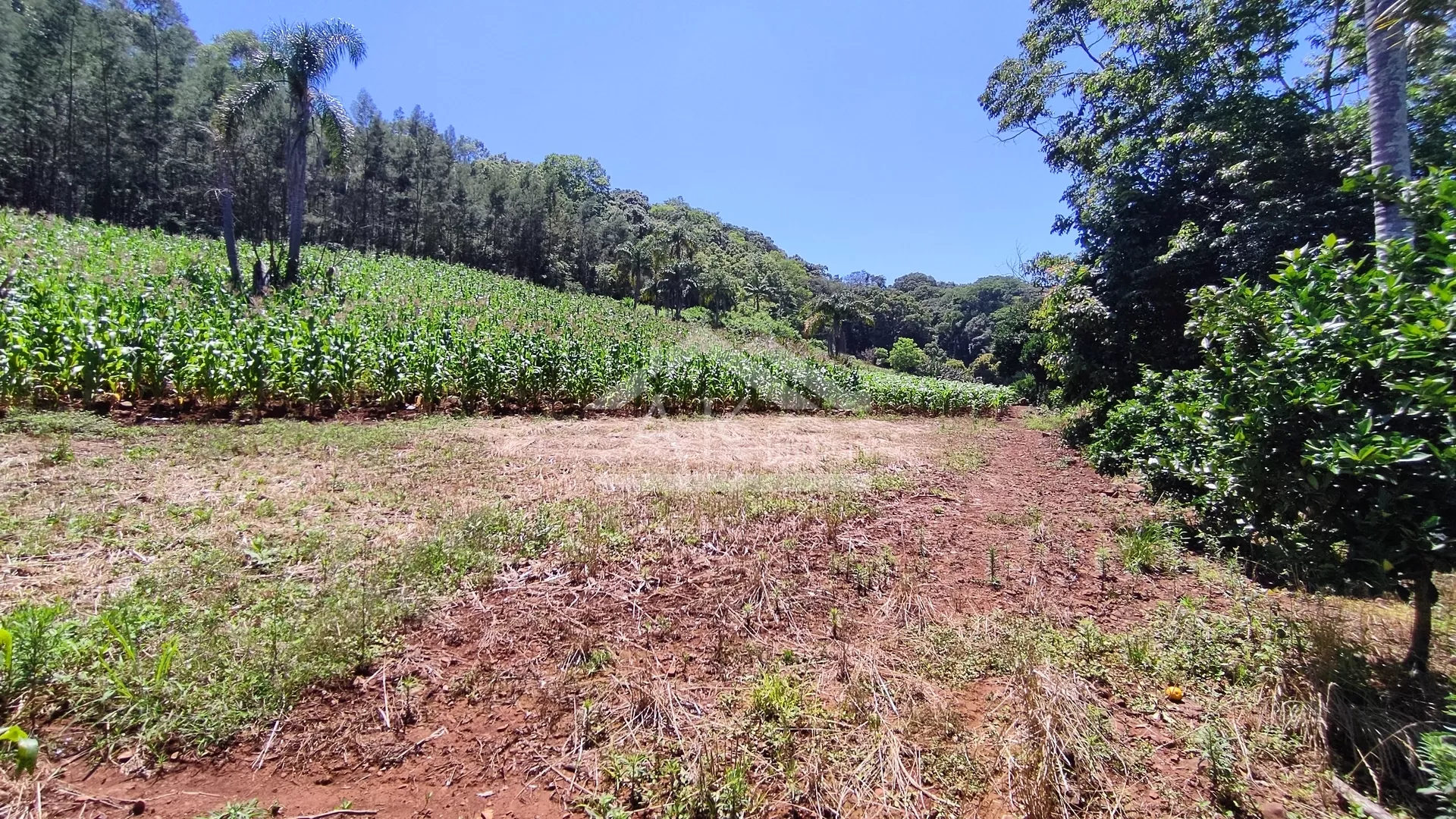 Sítio com estrutura completa à venda em Picada Café na Serra Gaúcha