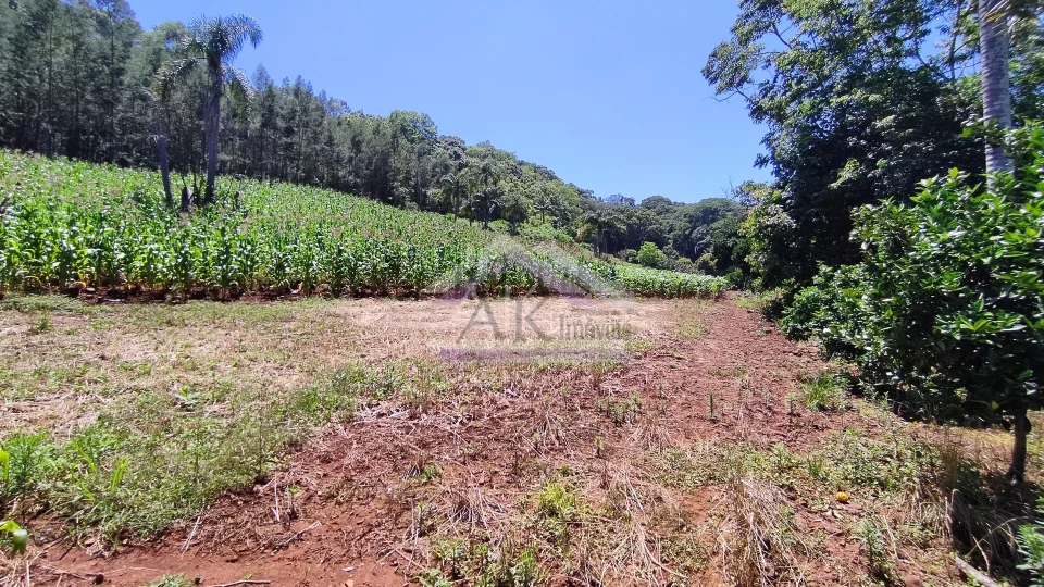 Sítio com estrutura completa à venda em Picada Café na Serra Gaúcha