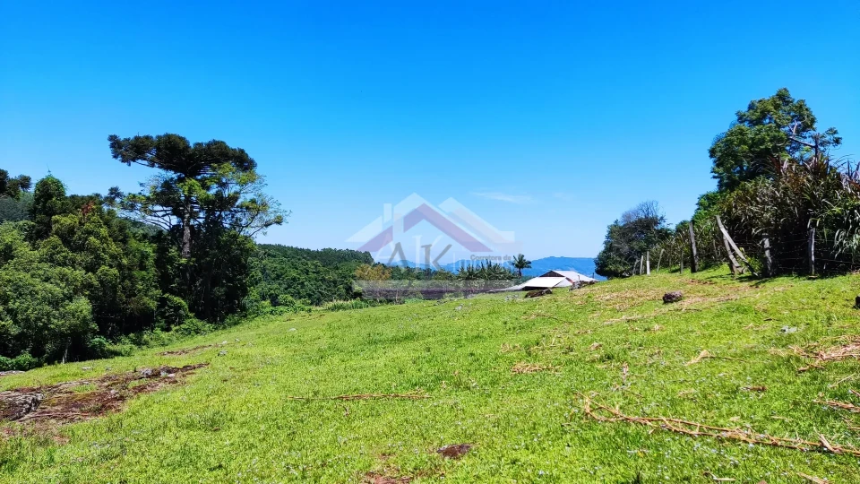 Sítio com estrutura completa à venda em Picada Café na Serra Gaúcha