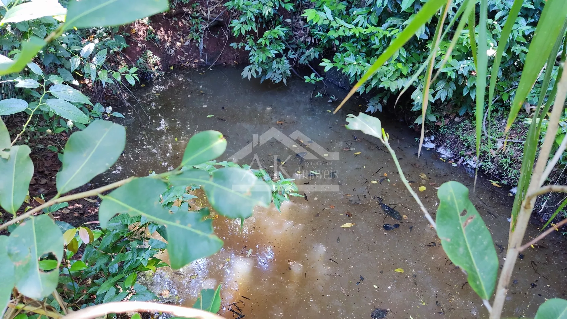Sítio com estrutura completa à venda em Picada Café na Serra Gaúcha