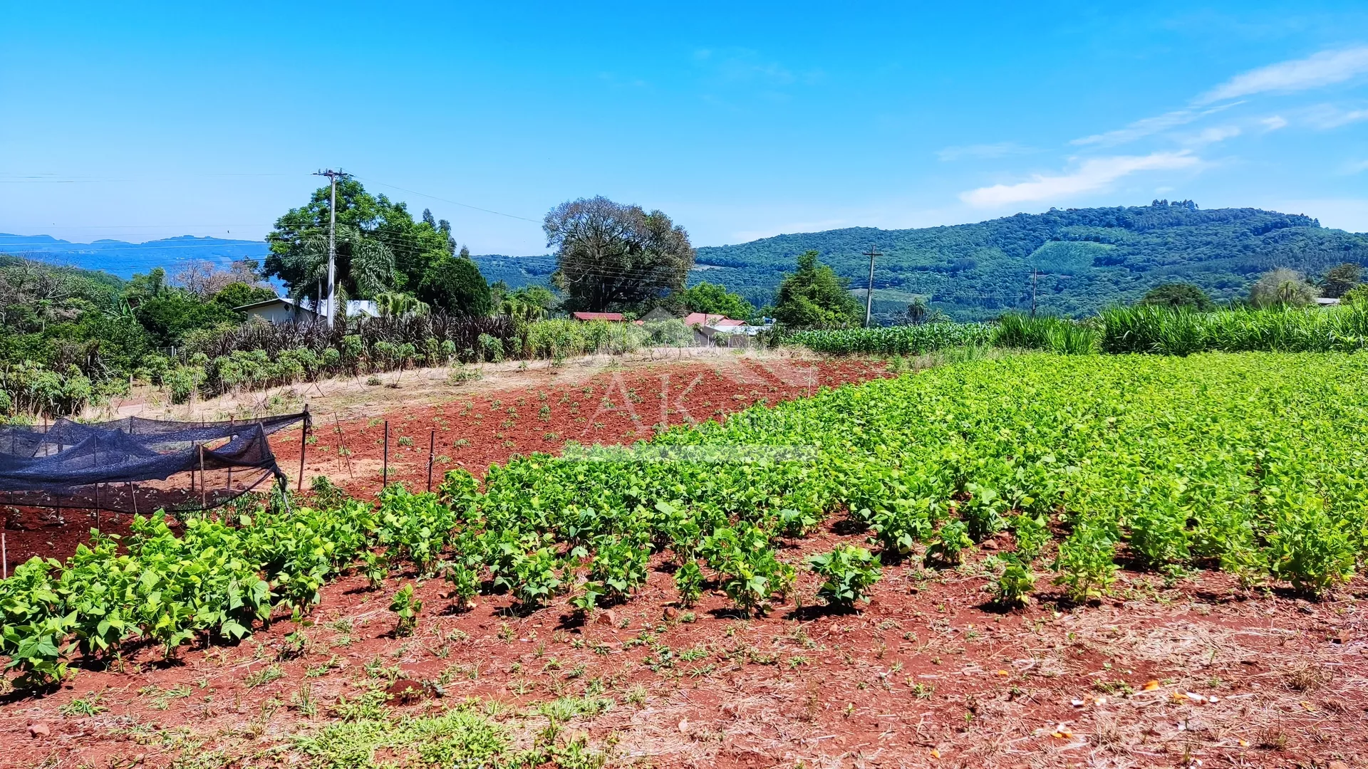 Sítio com estrutura completa à venda em Picada Café na Serra Gaúcha