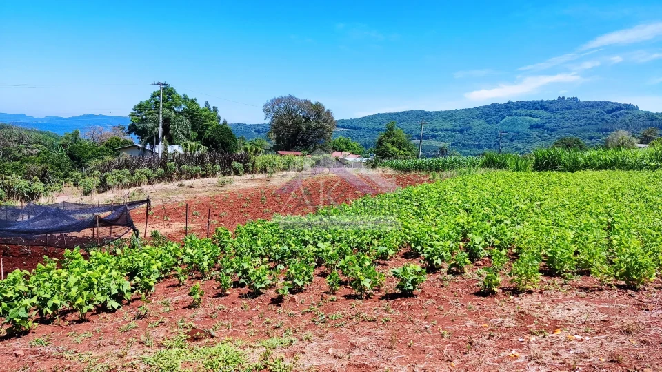 Sítio com estrutura completa à venda em Picada Café na Serra Gaúcha