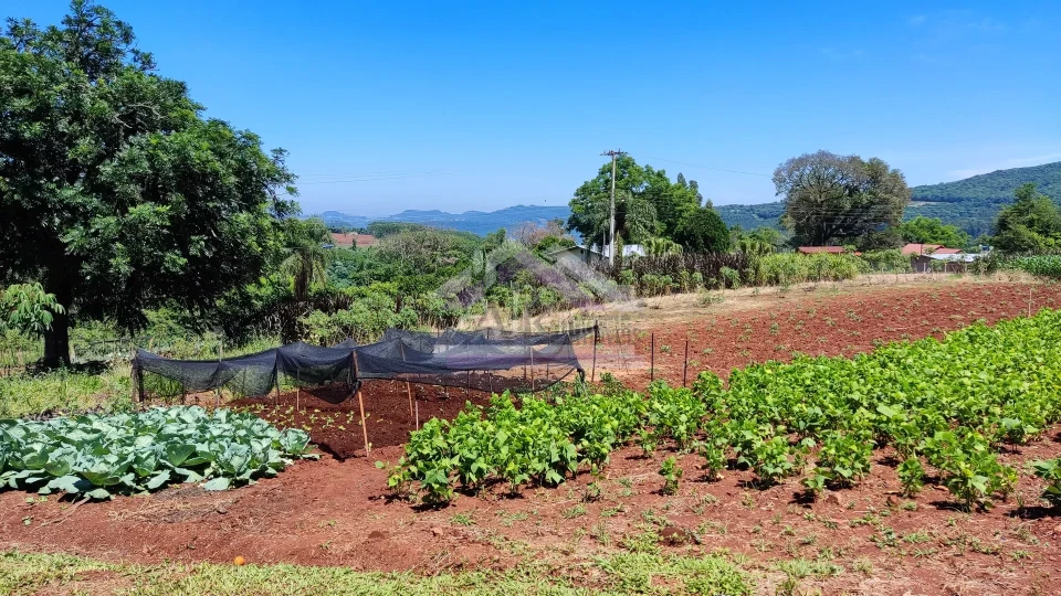 Sítio com estrutura completa à venda em Picada Café na Serra Gaúcha