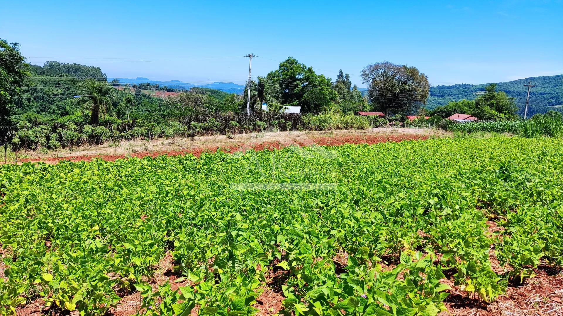Sítio com estrutura completa à venda em Picada Café na Serra Gaúcha