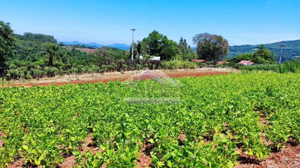 Sítio com estrutura completa à venda em Picada Café na Serra Gaúcha