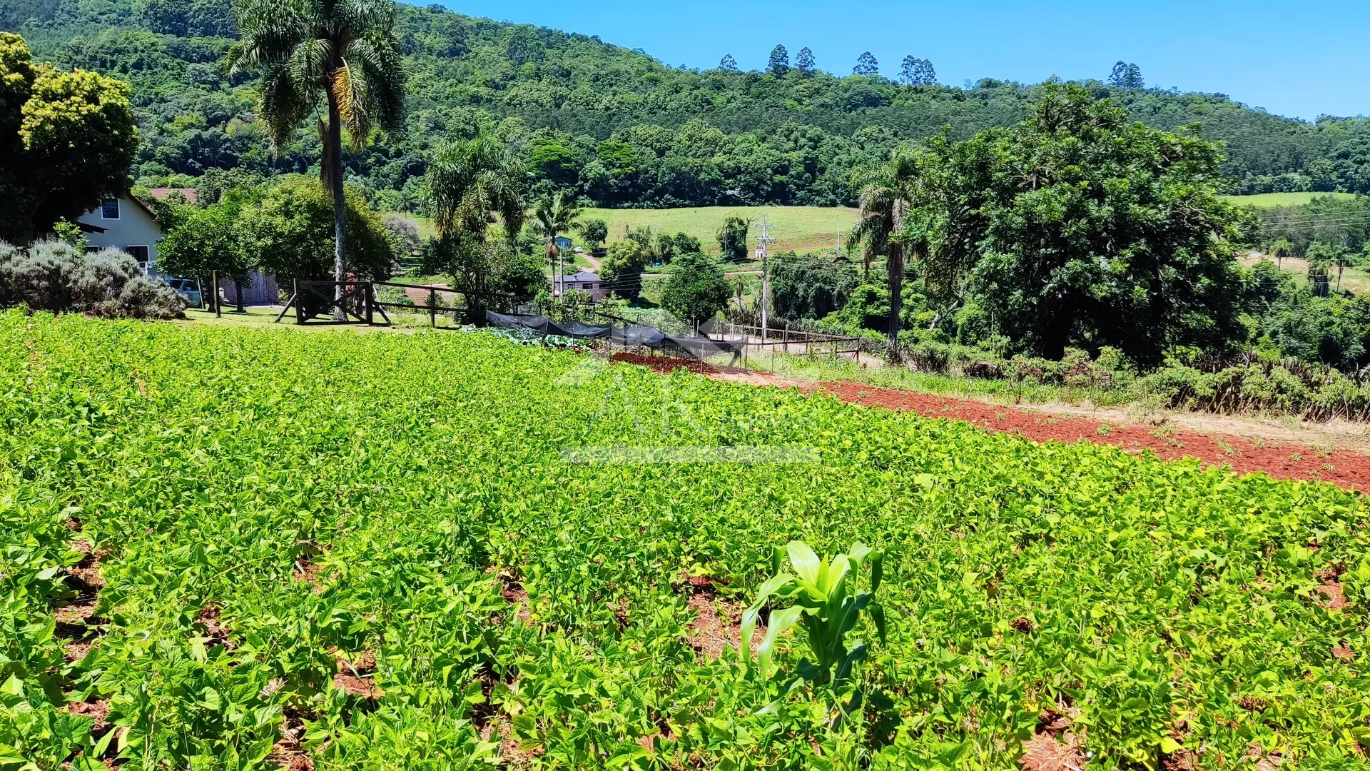 Sítio com estrutura completa à venda em Picada Café na Serra Gaúcha