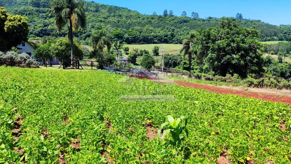 Sítio com estrutura completa à venda em Picada Café na Serra Gaúcha