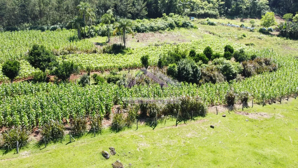 Sítio com estrutura completa à venda em Picada Café na Serra Gaúcha