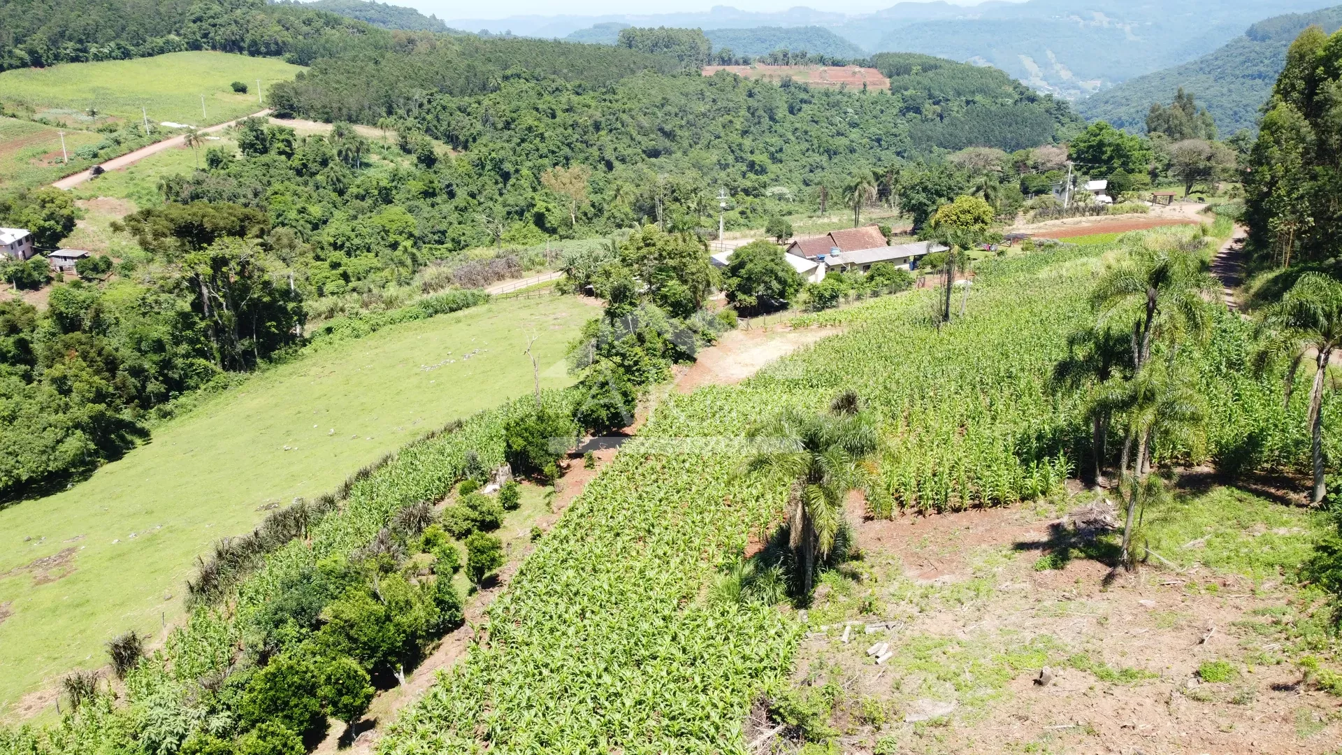Sítio com estrutura completa à venda em Picada Café na Serra Gaúcha