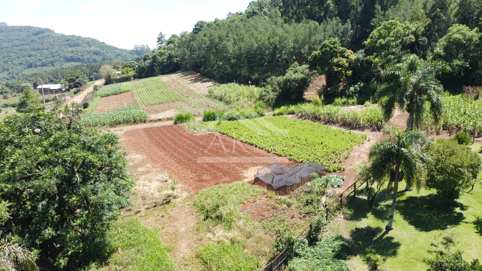 Sítio com estrutura completa à venda em Picada Café na Serra Gaúcha