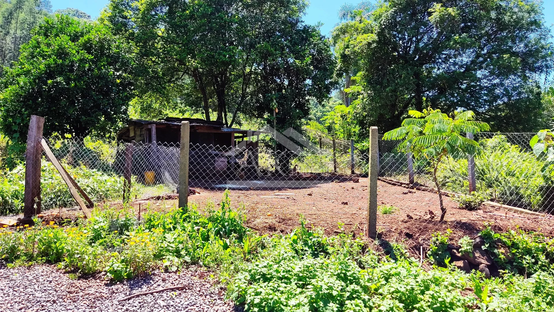 Sítio com estrutura completa à venda em Picada Café na Serra Gaúcha