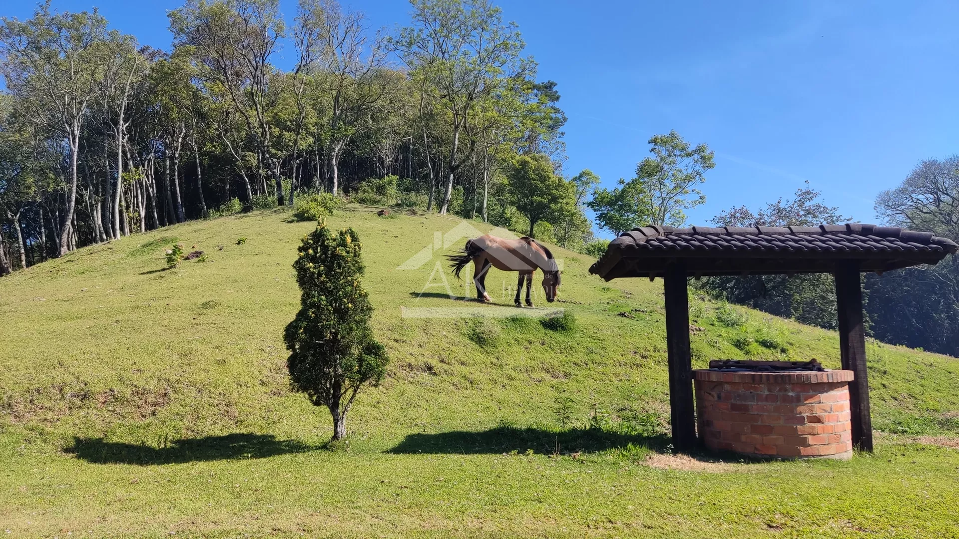 Sítio com vista espetacular à venda em Morro Reuter RS