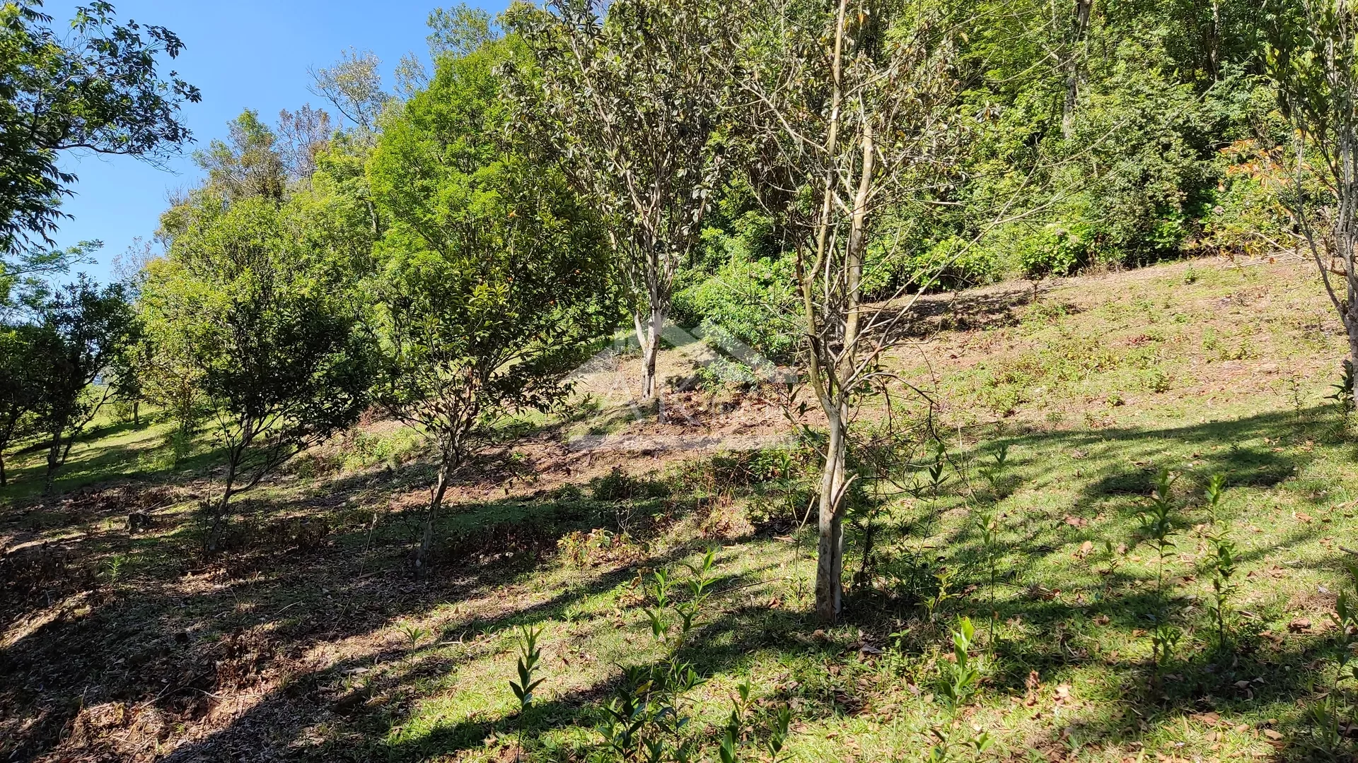 Sítio com vista espetacular à venda em Morro Reuter RS