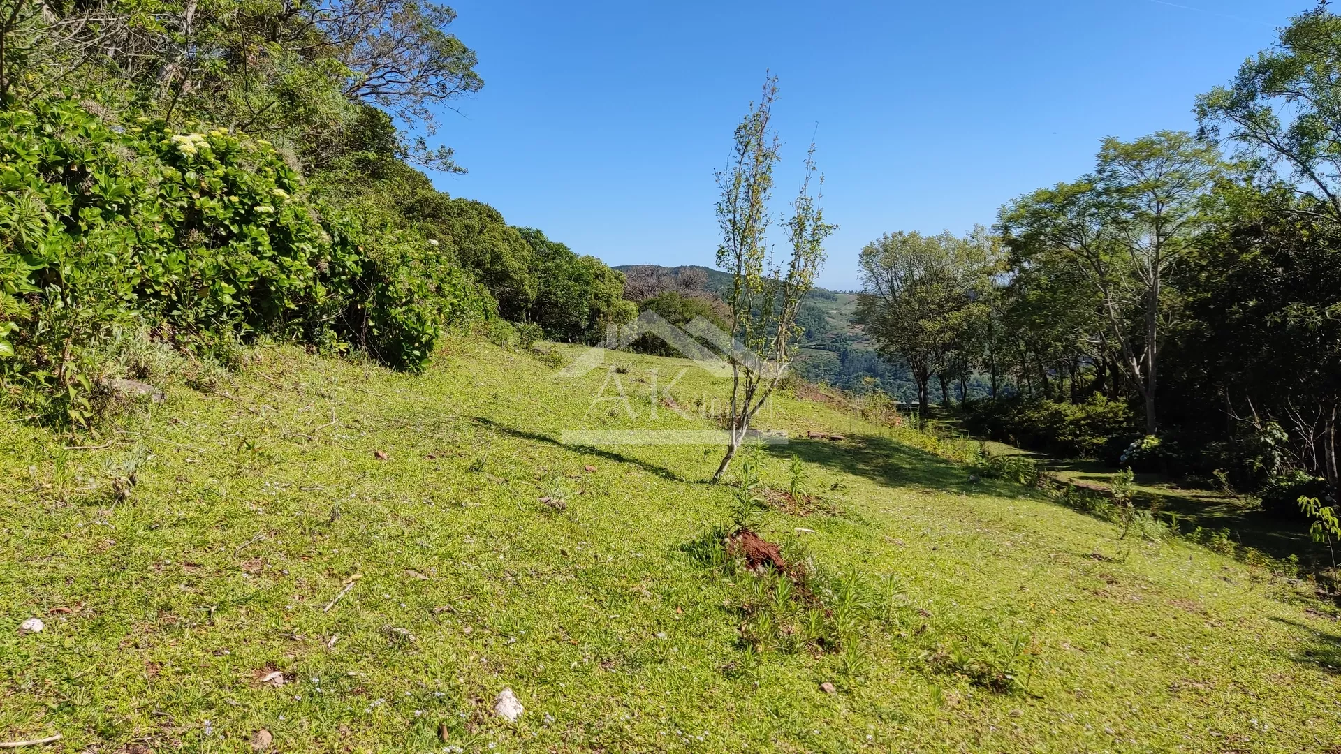 Sítio com vista espetacular à venda em Morro Reuter RS