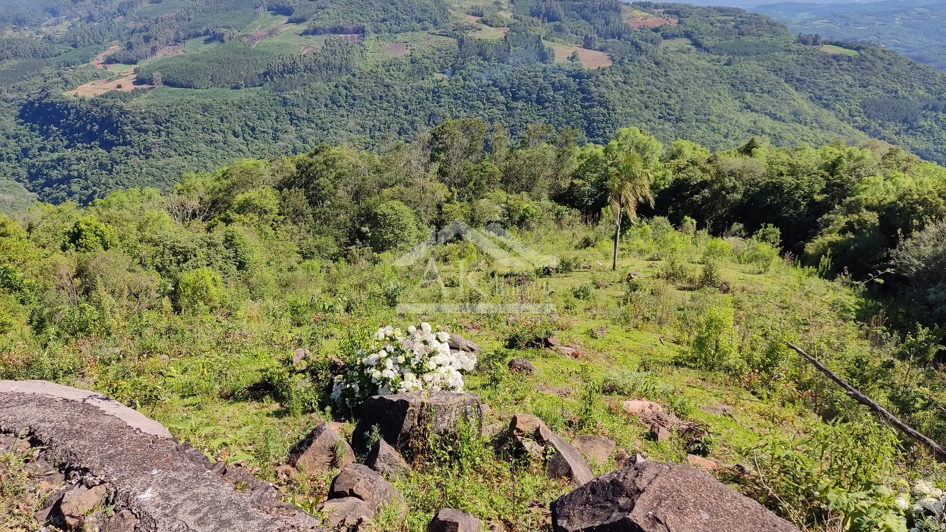 Sítio com vista espetacular à venda em Morro Reuter RS
