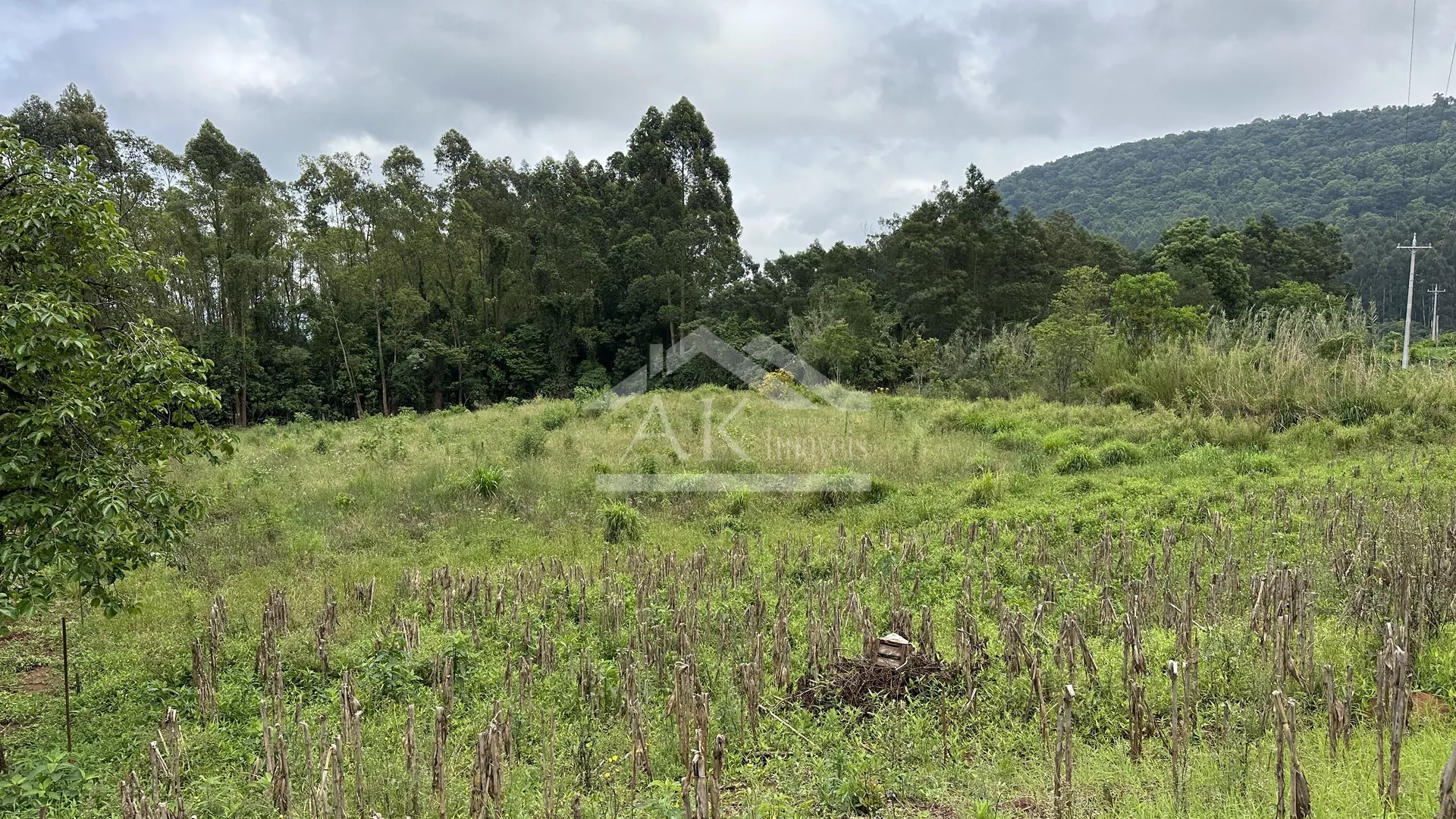 Área de terra com potencial de vista à venda em Linha Nova RS