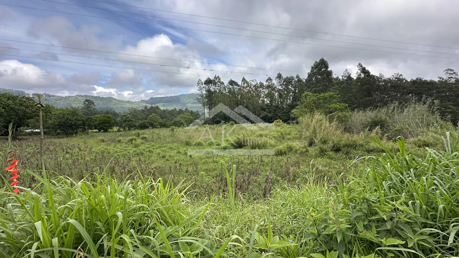 Área de terra com potencial de vista à venda em Linha Nova RS