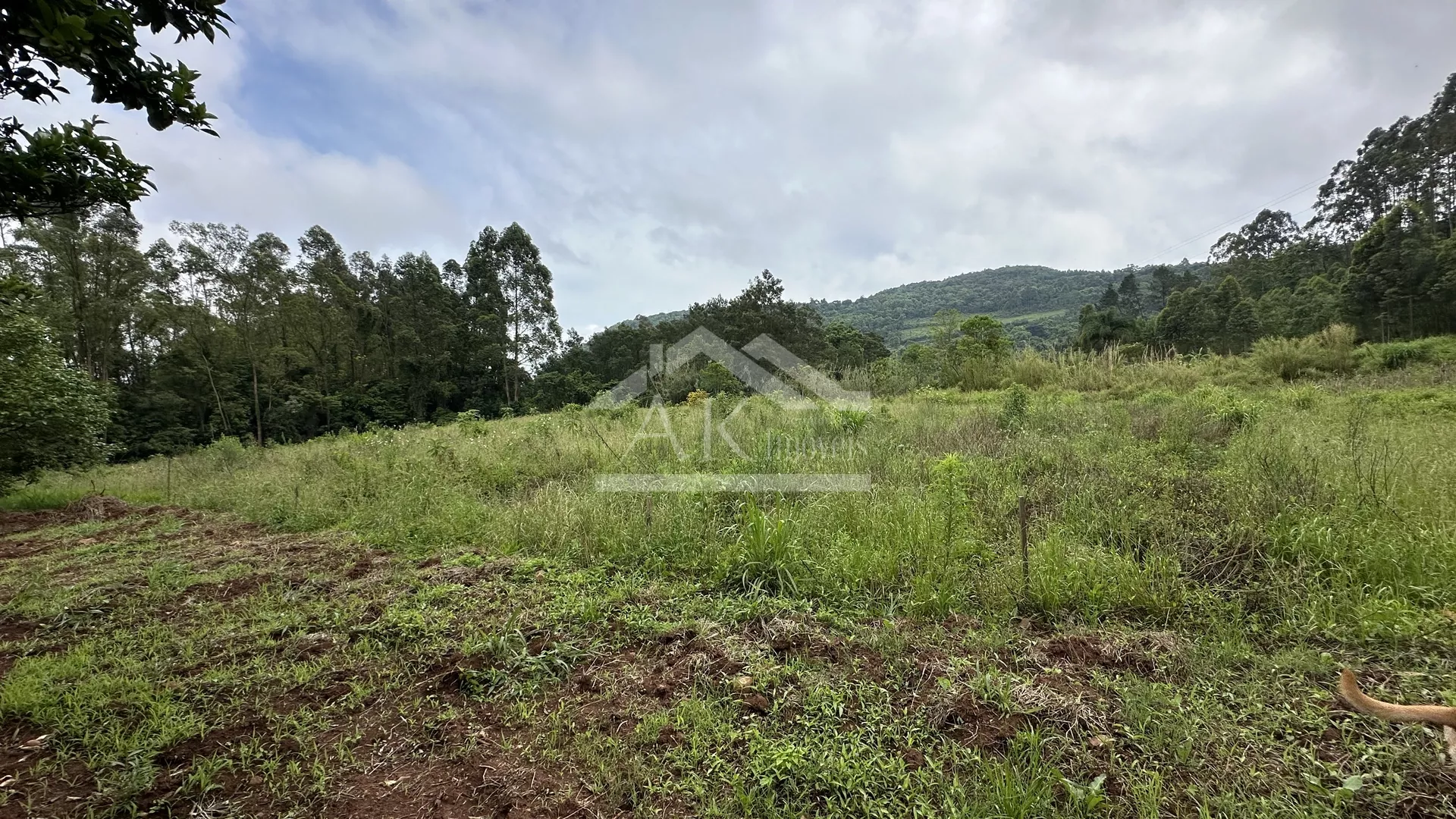 Área de terra com potencial de vista à venda em Linha Nova RS