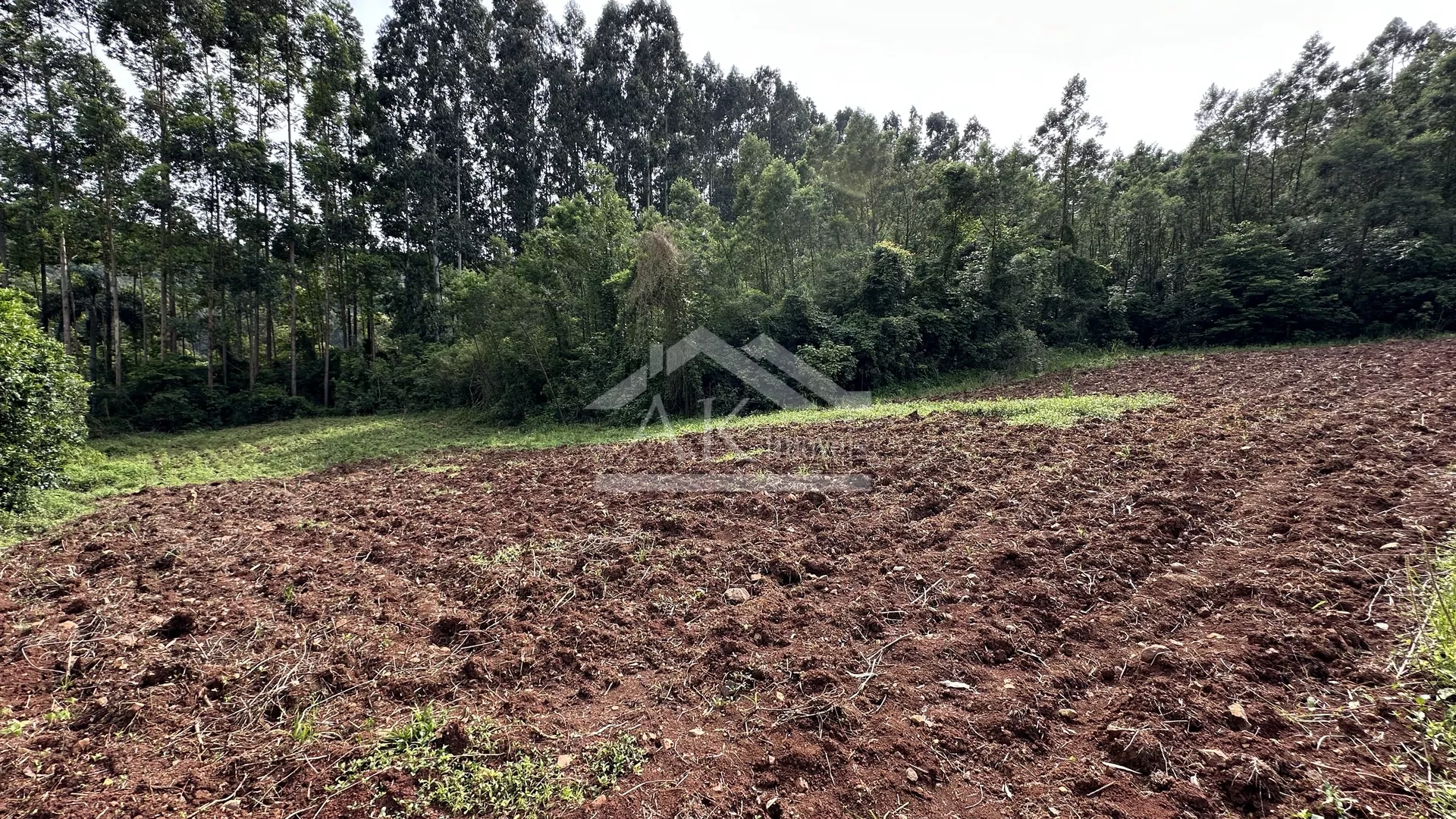 Área de terra com potencial de vista à venda em Linha Nova RS