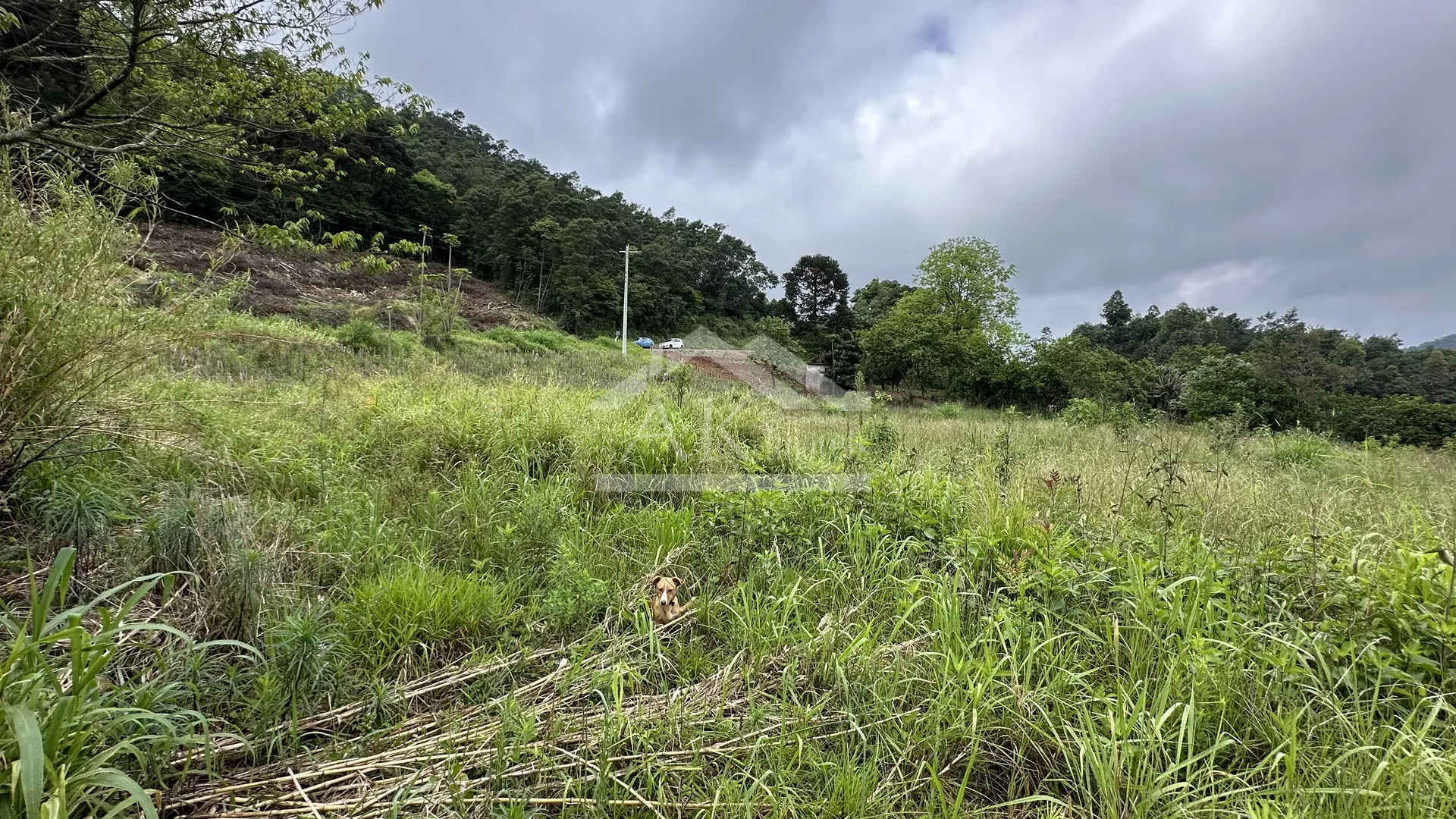 Área de terra com potencial de vista à venda em Linha Nova RS