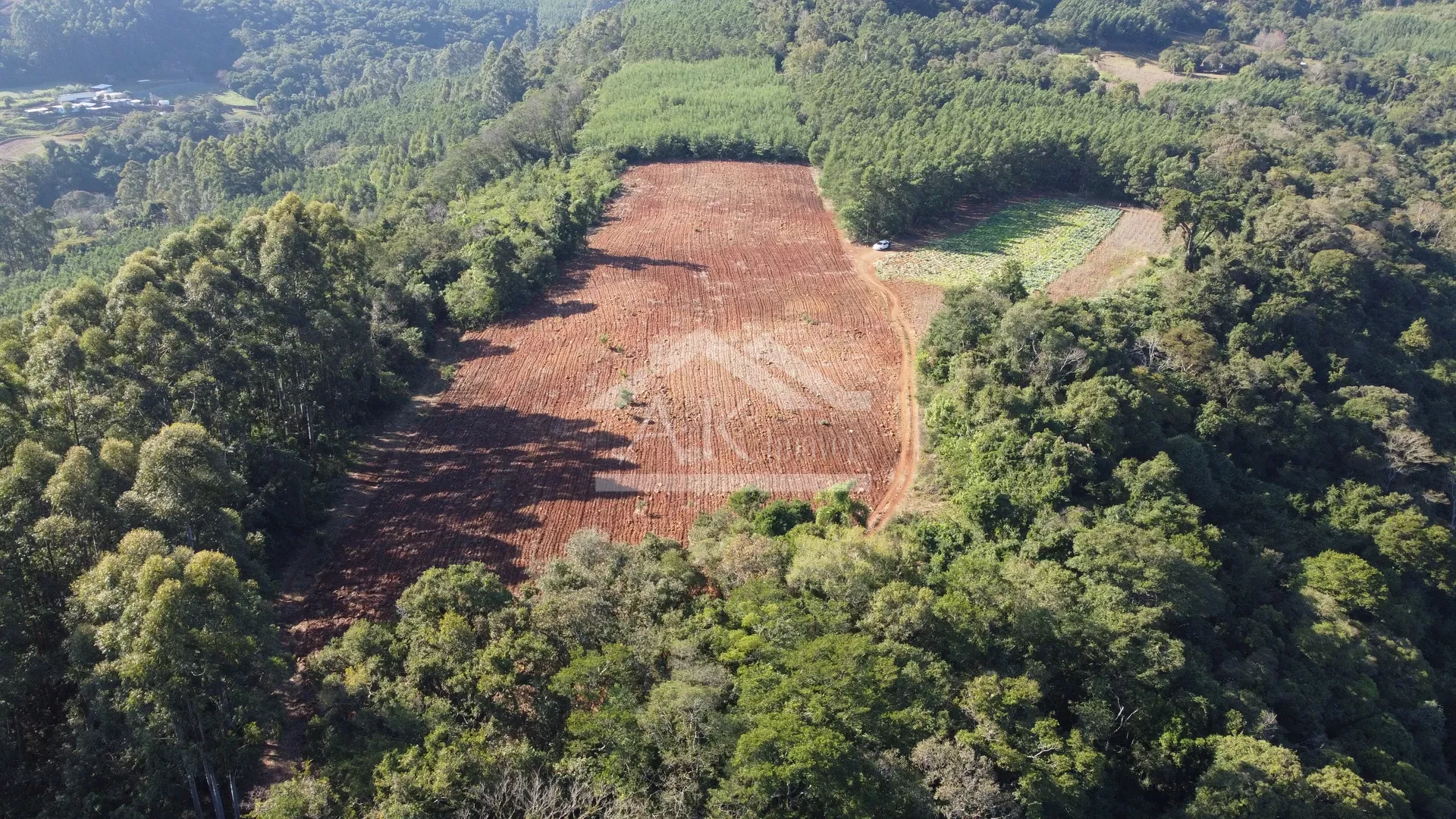 Área de terras plana à venda no interior de Linha Nova, na Serra Gaúcha
